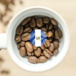 Guatemala Light