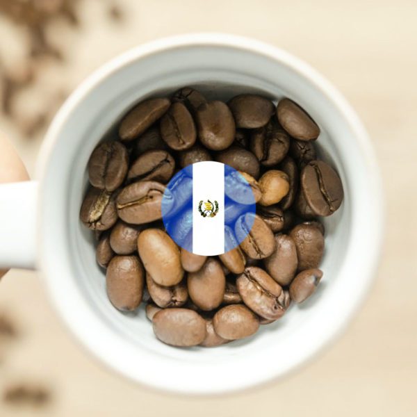 Guatemala Light