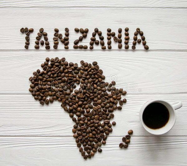 Tanzaniz