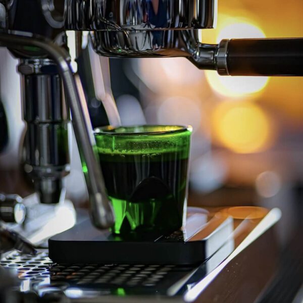 Notneutral Vero Espresso Emerald