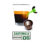 Cupsandcapsulesguatemala 1024x1024@2x