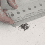 Brewlergif.2020 08 1010 17 41 1024x1024