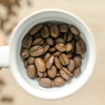 Light Roast