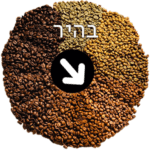 קלייה בהירה