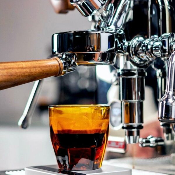 Notneutral Vero Amber Espresso